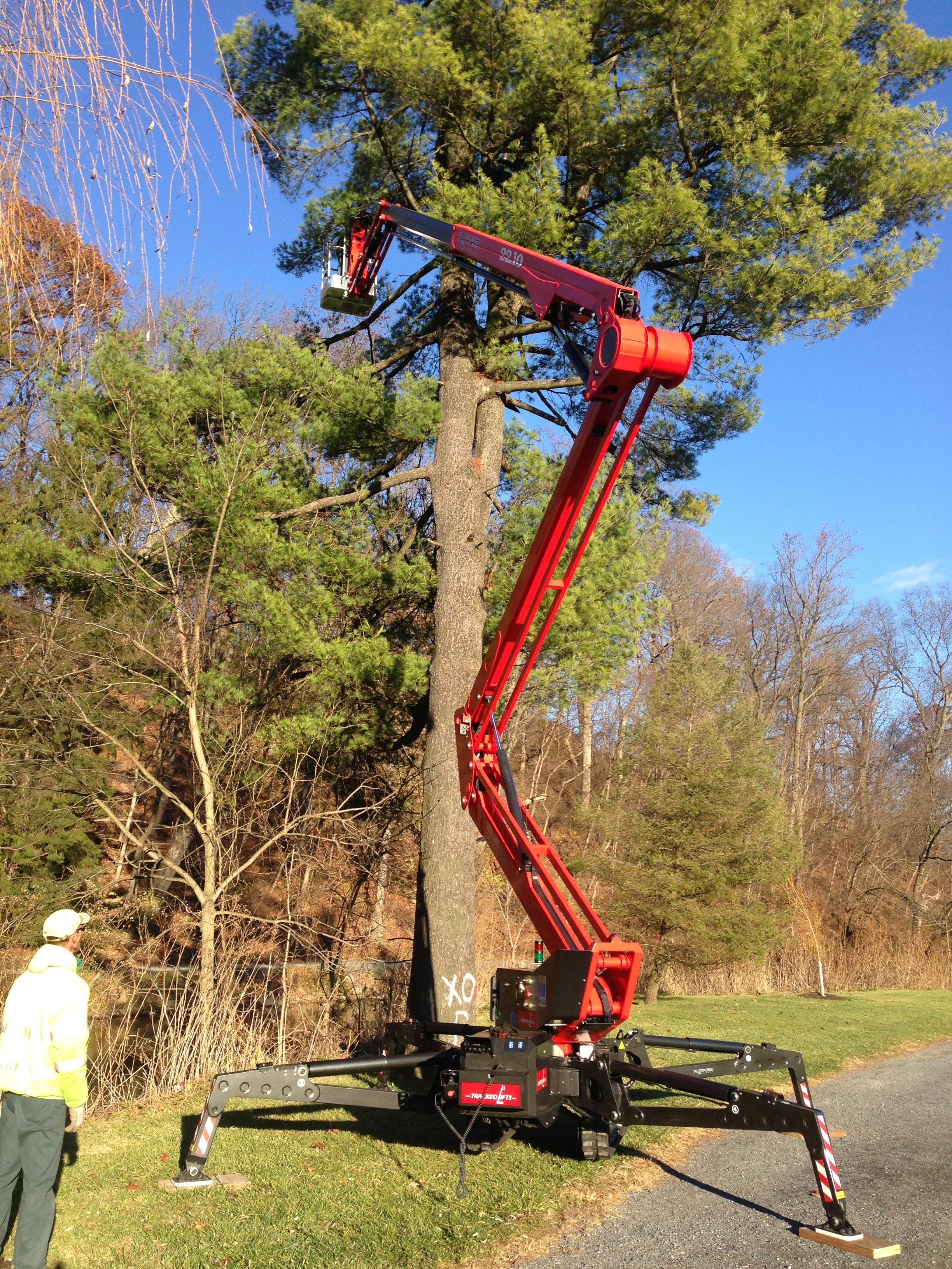 Platform Basket 72ft Arborist by Arborists Tracked Lifts